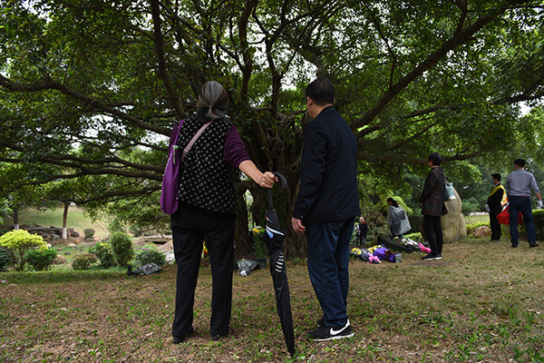 沈阳:以树葬草坪葬等生态方式安葬逝者可获奖千元