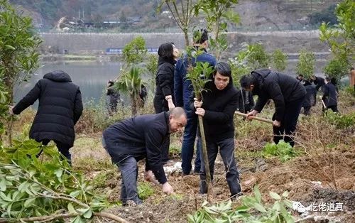 春寒料峭植树忙|道真开展春季义务植树活动