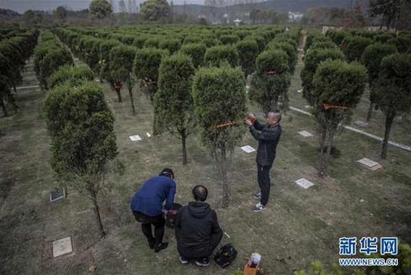 文明祭扫与殡葬新风尚，了解一下